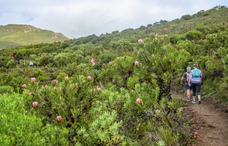 3_Rusty-Gate_Hiking-Crest