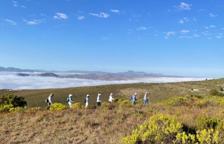 4_Rusty-Gate_Hiking_Vantage-Trail – Copy