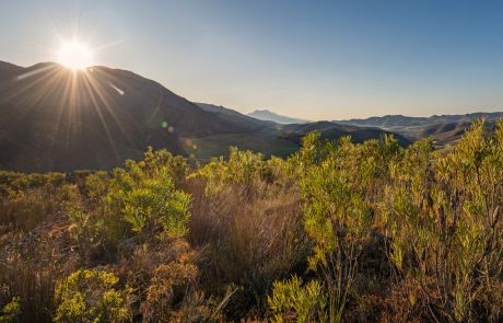 5_Rusty-Gate_Scenic_Sunrise